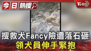 搜救犬Fancy險遭落石砸 領犬員伸手緊抱｜TVBS新聞 @TVBSNEWS01