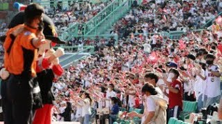 진천 농예문 통합축제 전국에서 엄청나게 몰려와서 개막식 축제