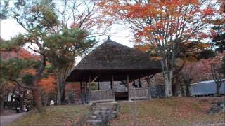 紅葉の小諸城址懐古園