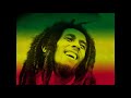 Bob Marley and Aidalive Stir It Up