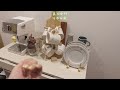 room tour 8畳1kに緑と暮らす21歳カフェ店員の家.ikeaの家具と植物で心地よいを作る