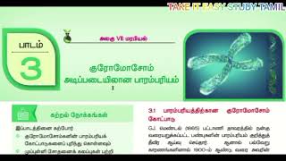 12th Bio Botany Chapter 3\u00262: Complete Important Questions in Tamil#takeiteasystudytamil  #12thclass