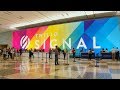SIGNAL 2019 Highlights