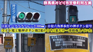 【信号機】群馬県みどり市笠懸町阿左美 全国でいつもある日信セパブツブツレンズ・日信六角形歩灯の押ボタン信号