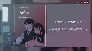 【韓繁中字】白娥娟  (백아연) － Why (Webtoon 嫩男嫩女 웹툰 연놈 OST Part.2)