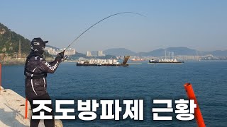 부산 영도 조도방파제 루어낚시 탐사 (조도방파제 근황)