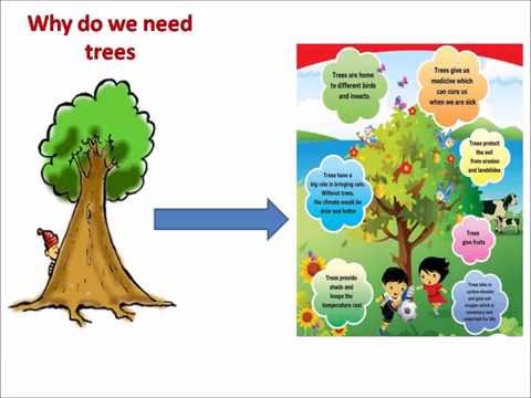Go Green - solution to global warming!!! ppt Go Green - solution to global warming!!! ppt