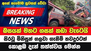 කොළඹ දී මිනිසුන් සිටි බසයක් මතට ගසක් කඩා වැටෙයි | Breaking News