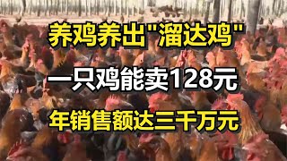 养鸡养出“溜达鸡”，一只鸡能卖128元，年销售额达三千万元！