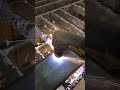 Plasma cutting is awesome…….. #metal  #steel #fabrication