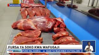 MAKALA YA SHAMBANI || Soko jipya kwa wafugaji wa ng'ombe na fursa ya ufugaji wa kisasa