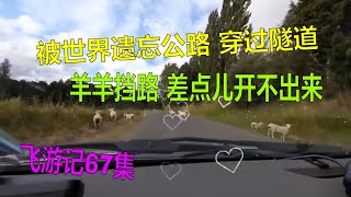 Forgotten World Highway新西兰被世界遗忘的公路43号公路 经过不被承认的共和国 羊群在马路上散步 穿越原始隧道 150公里没有加油站 差点出不来-Fay飞游记新西兰第67集