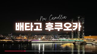 부산에서 후쿠오카 페리 뉴카멜리아호 1등실 Take the ferry from Busan to Fukuoka