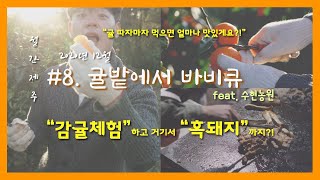 [월간제주] 감귤체험하다가 귤밭에서 흑돼지 구워먹기ㅣ힐링에 낭만까지 5G구요!ㅣCinematic VlogㅣA7M3, iPhone12 proㅣ4Kㅣ12월 제주