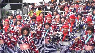 東京よさこい　なな丸隊　東京よさこい　2017　駅前メイン会場