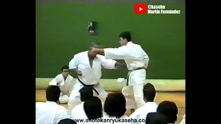 1993 Taiji Kase Heian Nidan Bunkai and much more