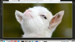 Using OpenStack Shade SDK with Swift Storage