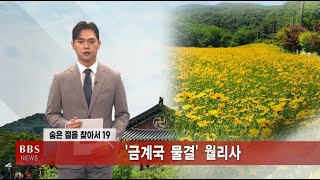 숨은 절을 찾아서 19 금계국 물결 '청주 월리사'