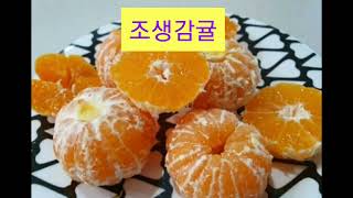 조생🍊감귤 판매 합니다 비품 10kg 14,000원 010-5009-1084 정품 3kg 5kg 10kg 중대과 로얄과 13,000원 16,000원 22,000원 14,500원..