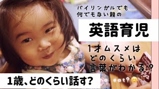 【言葉】1歳7ヶ月どのくらい話せる？【英語】言葉はどのくらい理解してる？バイリンガルでもなんでもない親による家での英語の様子をモニタリング。