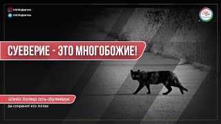 Суеверие - это многобожие!🚫 Нельзя верить в приметы | Чёрная кошка, крик совы 🚫