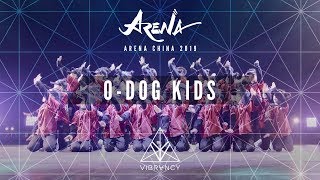 1st Place O-DOG Kids | Arena China Kids 2019 @VIBRVNCY Front Row 4K