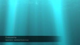 Canvas Quick Tip Method 1 adding a course syllabus using Syllabus link on Navigation Menu