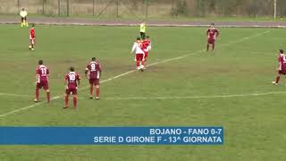 Stagione 2013-2014:Bojano   Fano 0 7