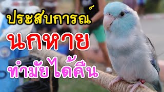 ประสบการณ์​นกหาย​ ทำไมถึงได้คืน EP.22