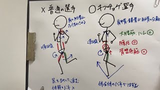 キプチョゲ選手の走りを分析してマラソンに必要な要素を考える