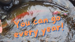 Experience Alaska on the cheap. You don't have to be rich to enjoy Alaska