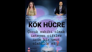 KÖK HÜCRE NEDİR, KÖK HÜCRE TÜP BEBEK TEDAVİSİ, OZON YUMURTA REZERVİNİ ARTTIRIR MI? Dr Ozan Özolcay