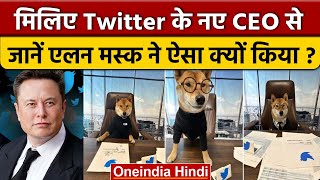 Elon Musk ने Twitter का नया CEO अपने Dog को बनाया, जानें वजह  | वनइंडिया हिंदी