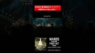 LiveBlu-rayティザー映像公開！9月に「Live Tour 2023」も開催決定！#WANDS #世界が終わるまでは