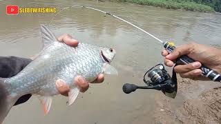 CARA MERACIK UMPAN DAN MENCOBA SENSASI BARU MANCING TAWES PAKE JORAN MICRO FISHING‼️