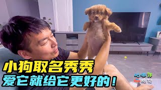 给捡来的流浪狗找了新主人，这么可爱的狗狗我们为什么不自己养？【咕嘟郭旅记】