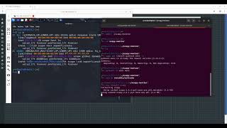 Real-Time Network Traffic Monitor with Scapy & Python | PenTesting Tool