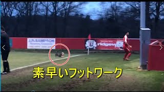 かわいい犬 ヨークシャーテリア 犬 鳴き声 サッカー場に乱入して吠える 拍手喝采の大活躍 Funny Dog Yorkshire Terrier play soccer