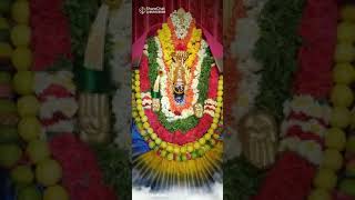 sree adishakti Amman whatsapp status #superhitwhatsappstatus #statusmakerindia