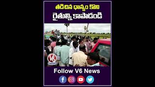 తడిచిన ధాన్యం కొని రైతులను ఆదుకోవాలి... | Grain Loss | V6 Shorts