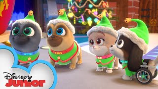 Merry Christmas from Bingo, Rolly, and Keia! 🎁 | Puppy Dog Pals | Disney Junior