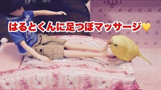 はるとくんに足つぼマッサージ！　かわいいセキセイインコ　キララ」