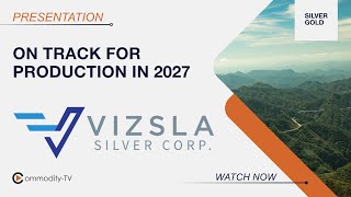 Vizsla Silver: Great Progress in 2024 and Ambitious Plans for 2025