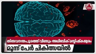 തിരുവനന്തപുരത്ത് വീണ്ടും അമീബിക് മസ്തിഷ്‌കജ്വരം,മൂന്ന് പേര്‍ ചികിത്സയില്‍ | Brain-eating amoeba