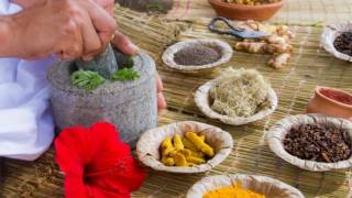 Difference Between Ayurvedic and Herbal Treatment