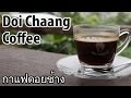 Day Trip to Doi Chaang (ดอยช้าง) - Thailand's Coffee Paradise