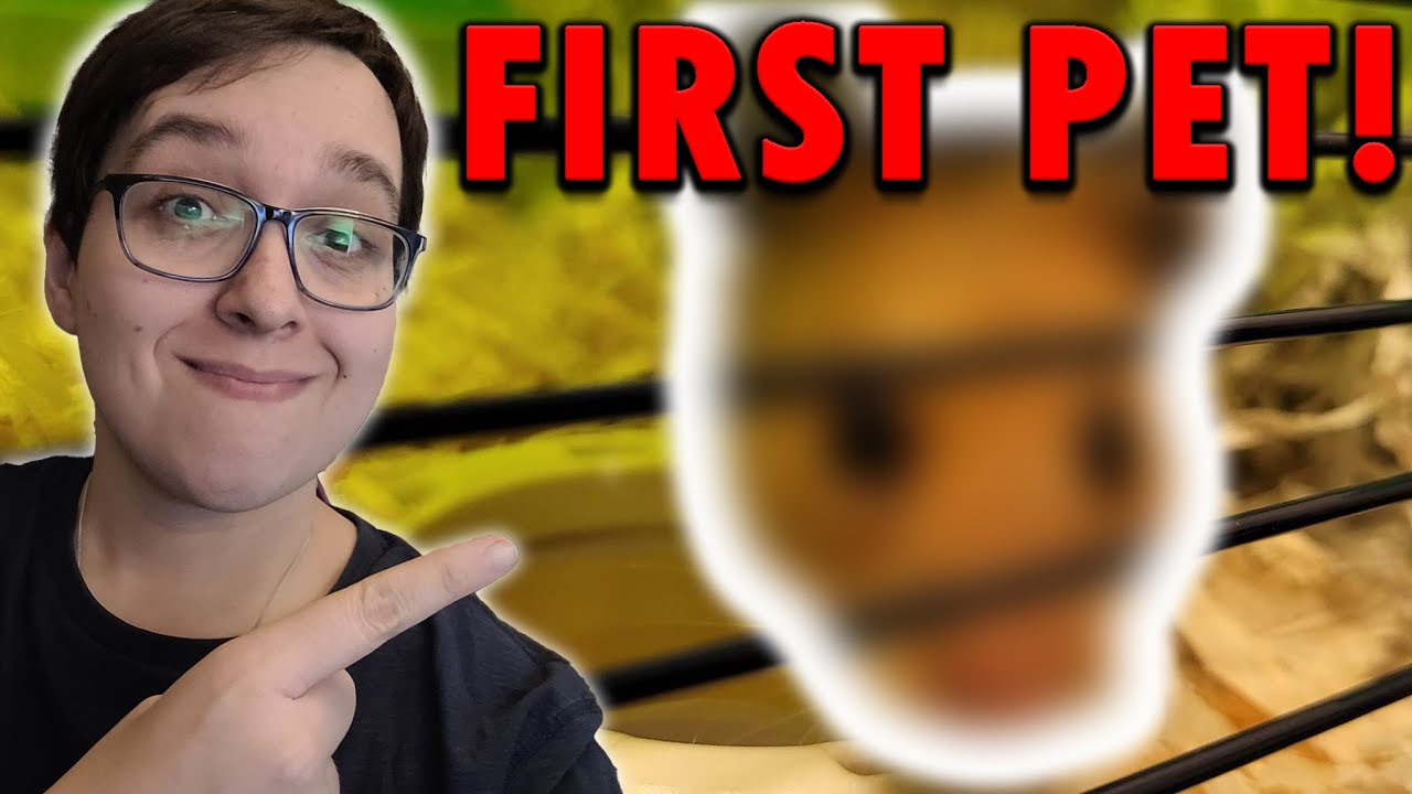 Getting Our First Pet Vlog Youtube