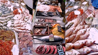 Prices and types of fish today in Algeria / fish market today, fishing port