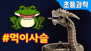 사냥하는 동물들! 먹고 먹히는 먹이사슬 관계 | 어린이 자연관찰 | 지니키즈★초등과학