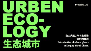 Urban Ecology (In Daqing city of China)